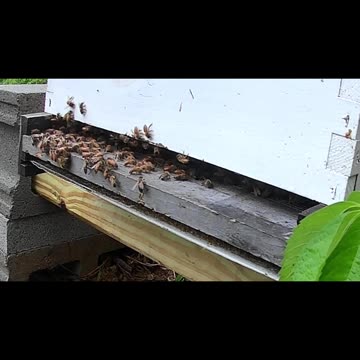 Saturday Morning Break in the Rain