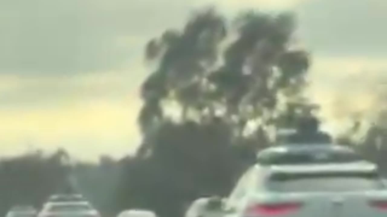 Waymo cars flee LA. Rioters burning Waymo cars. This is why we can't have nice things