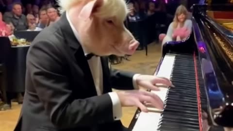 #ai #animal #pig #piano #fyp