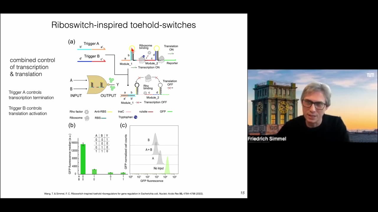 Genetic Switches And Circuits