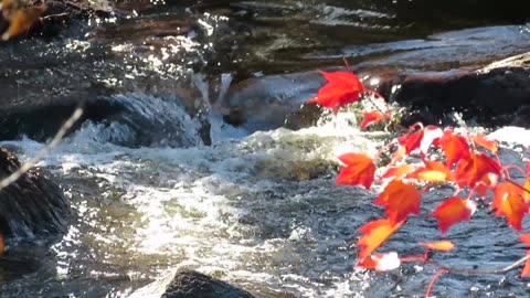 Koud water stroomt als een fluistering door het stille land