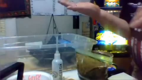 Gator!Gold!Ga.Prospecting