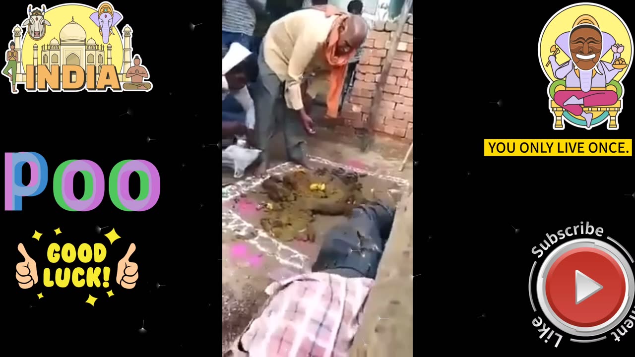 Indians love cows