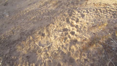 Walking in the beautiful desert 4/3/2025 Quartzsite Arizona part2 big wash