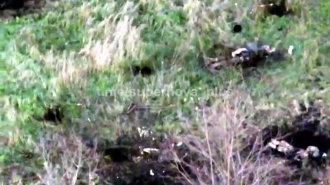 Russian infantry taking heavy casualties in east Ukraine after attacks by AFU