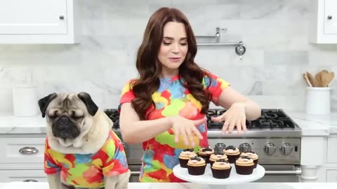 DIY PUG CUPCAKES w- Doug the Pug! - YouTube