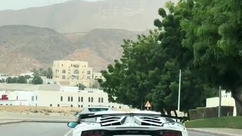 🤯💨 This Lamborghini Aventador Rev Sound is PURE Symphony! | LuxurySportsCars