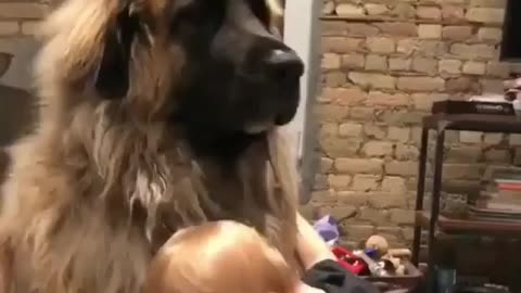 Fun Animals