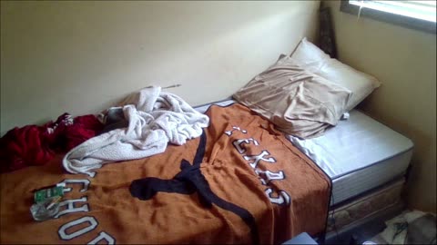Smokeys Room