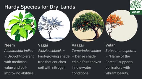 Native Tree Species for Dry-Lands in Tamil Nadu and How to Plant Them Effectively
