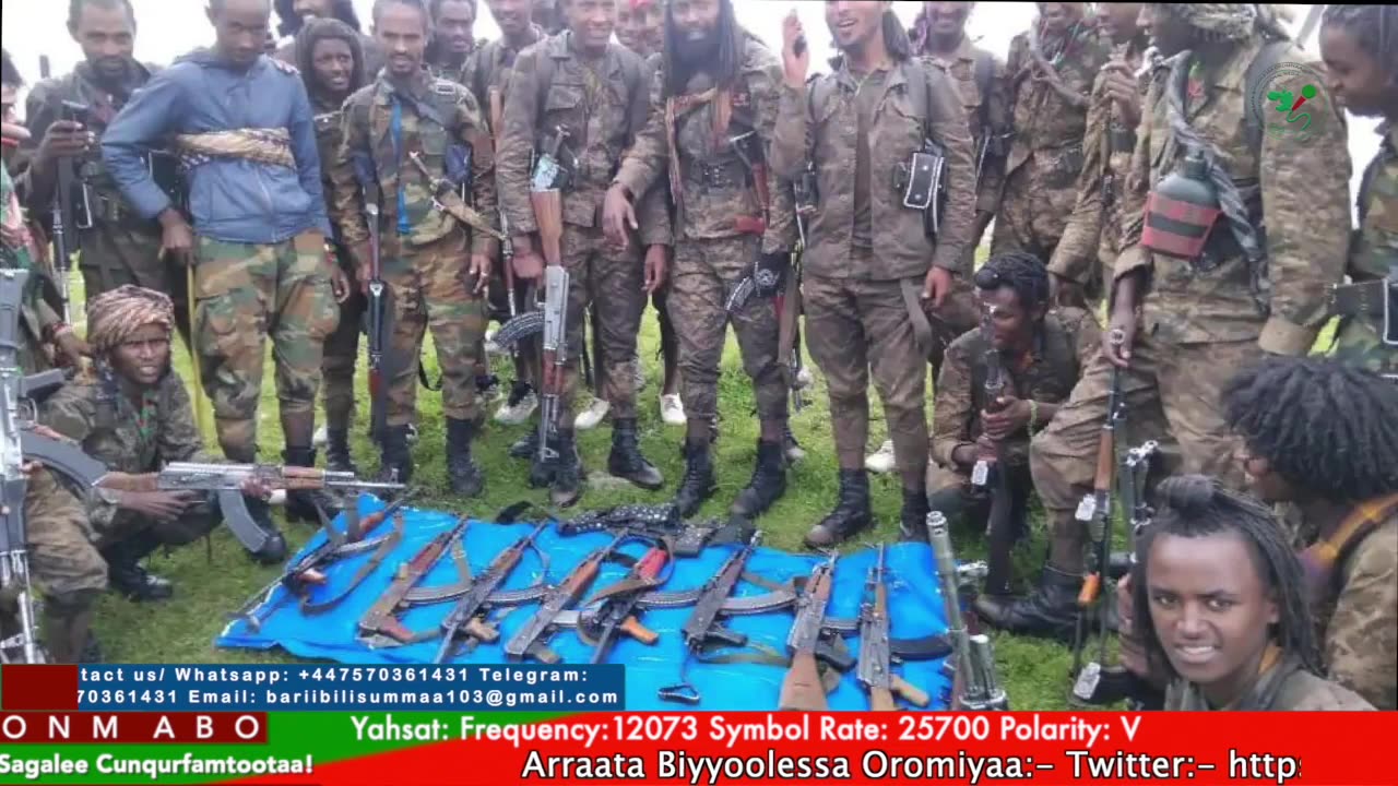 Gabaasa Tarkaanfii ONM-ABO Fulbaana 11-2025 itti dhiyaadhaa!