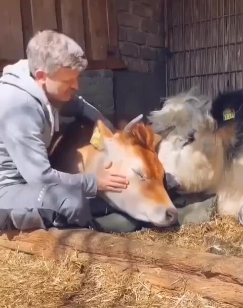 Spending quality time with friends