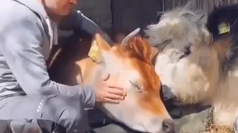 Spending quality time with friends