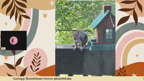 07/02/25 Kate the Turtle VOD: "Coffee'n'Kate - Verdict Watch"