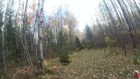 The worst day is a Good day in the Northwoods