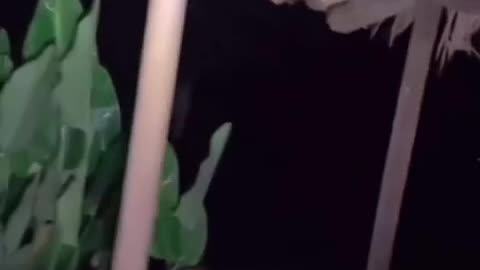 😱👻 You Won't Believe What These International Ghosts Do! | TheHauntingHour