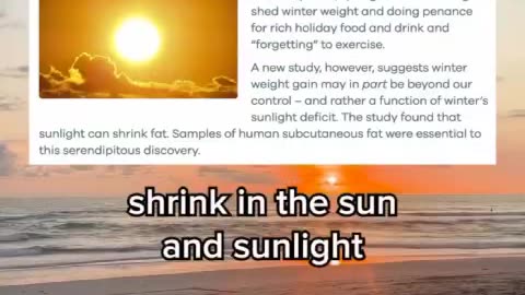 Sunlight