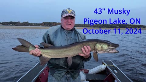 Bill's 43" Musky - Fire that netman!