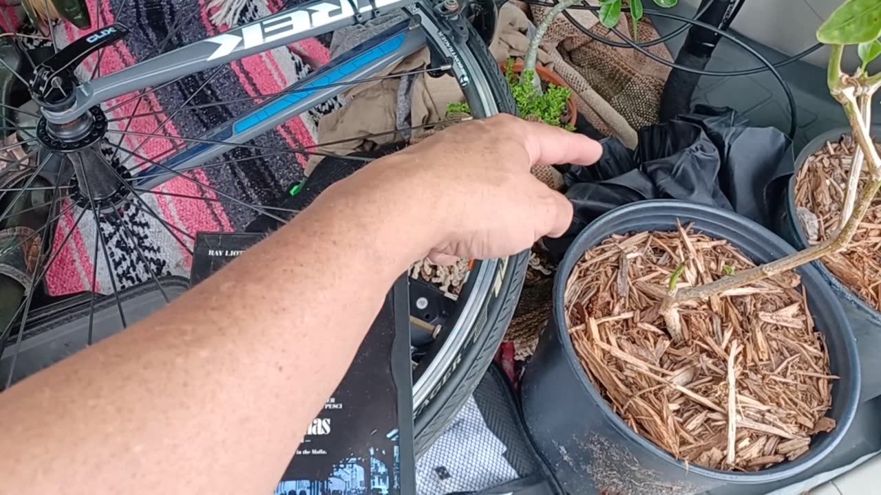 Garage Sailing 20250531