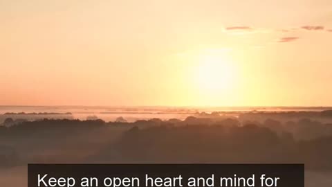 Daily Horoscope | Leo 🌟