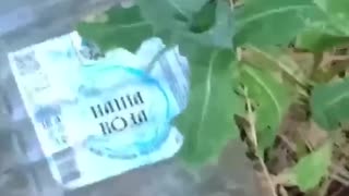 Allegations Poison Water Sent to Russian Soldiers Came from a Mine in Crimea