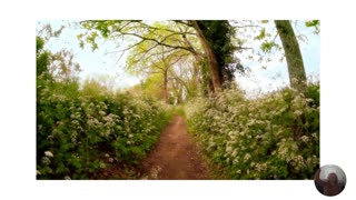 Scripture Tuning - Psalm 23 - 174 Hz Tuning Fork w/ 528 Hz - Remove Blockages - Manifestation