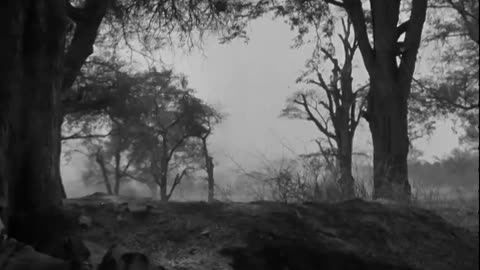 ATTACK ON FORT DUFFERIN, MANDALAY, BURMA - ATTACK ON FORT DUFFERIN, MANDALAY, BURMA - 111-adc-3526