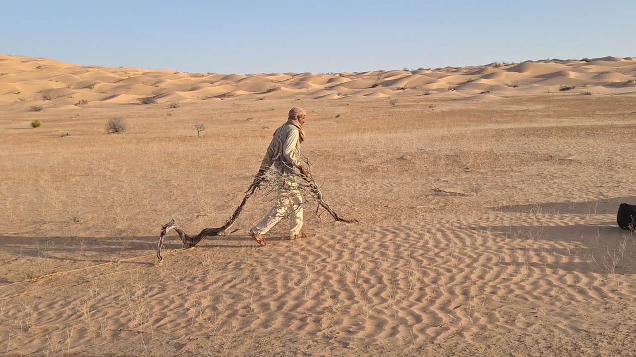 Ahmed gathering firewood