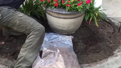 Landscaping Tips How to install a planter pot for your landscape