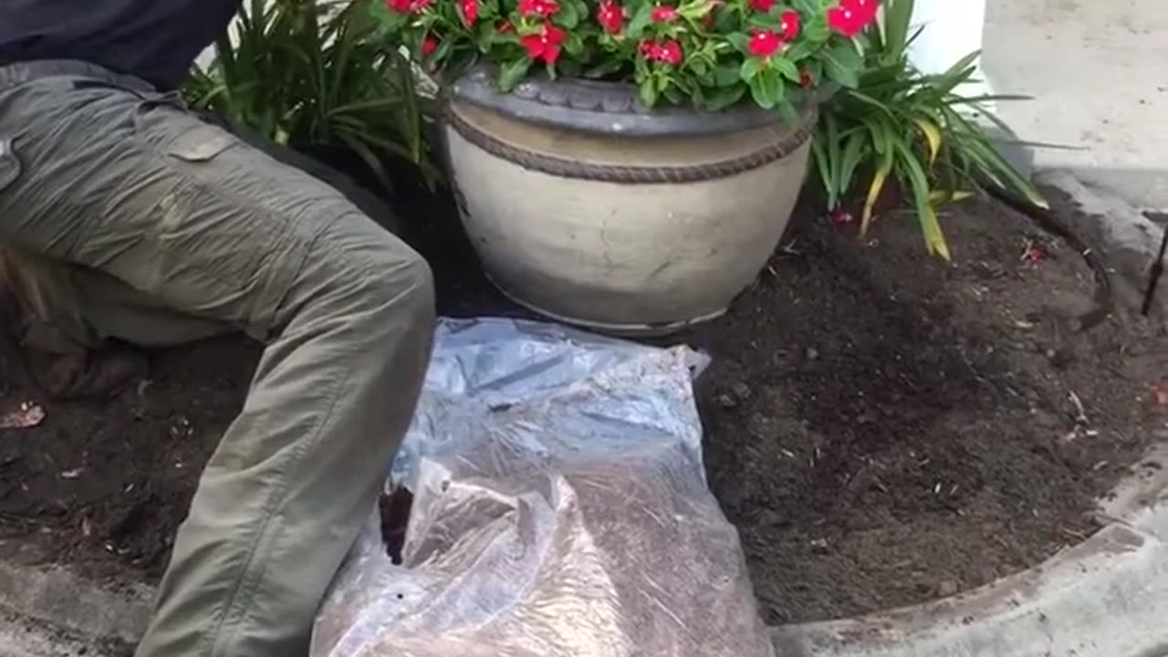 Landscaping Tips How to install a planter pot for your landscape