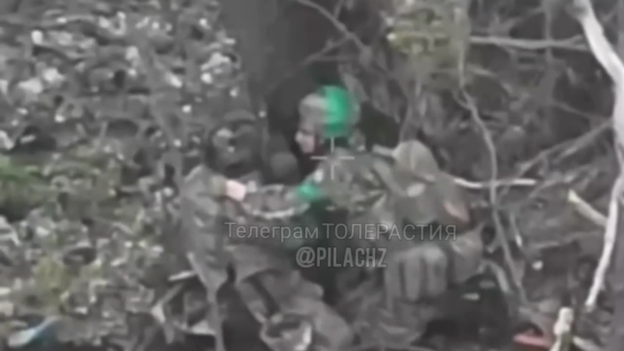 Our drone captured a family quarrel