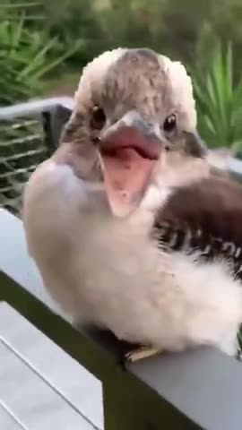 BLESSINGS OF OBEDIENCE - DAILY DEVOTIONAL ❤️