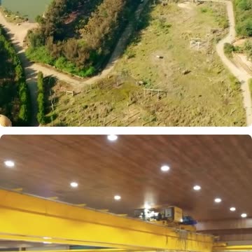 Anant Ambani’s care, the Vantara Foundation turns freedom. #AnantAmbani #SanctuaryOfLove