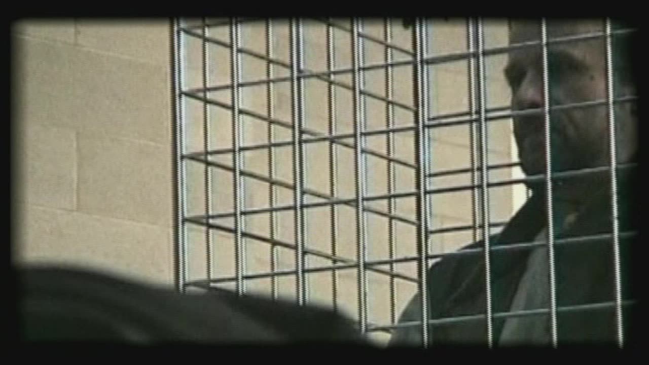 Milan Kohout, "You Do Not Need to Keep Me in a Cage Anymore", Boston, USA, 2000.