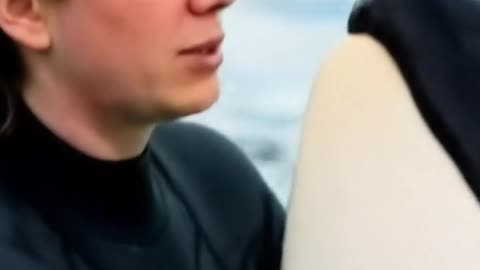 jessica radcliffe orca attack #jassica #viral #shorts #viralvideo