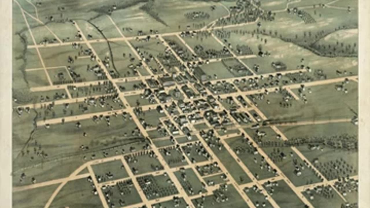 Thieving Birds · In Your Arm