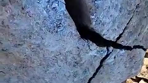 ‼️This was Found in a 500,000,000 year old Dolostone ROCK?!‼️ More Rocks.. #shorts