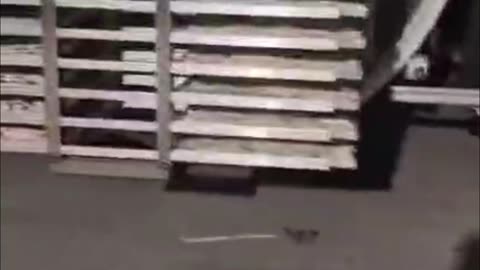 food freeze dryer