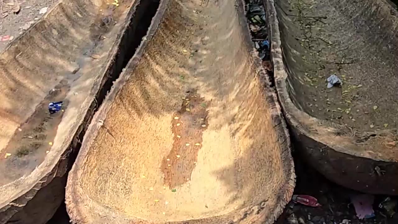Build a boat from palm trees Brown boat