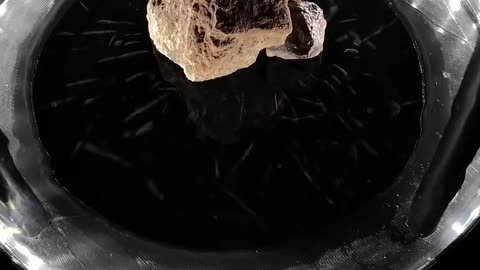 🤯✨ See a Uranium Ore Emit Radiation Inside a Cloud Chamber! | FeedMyCuriosity