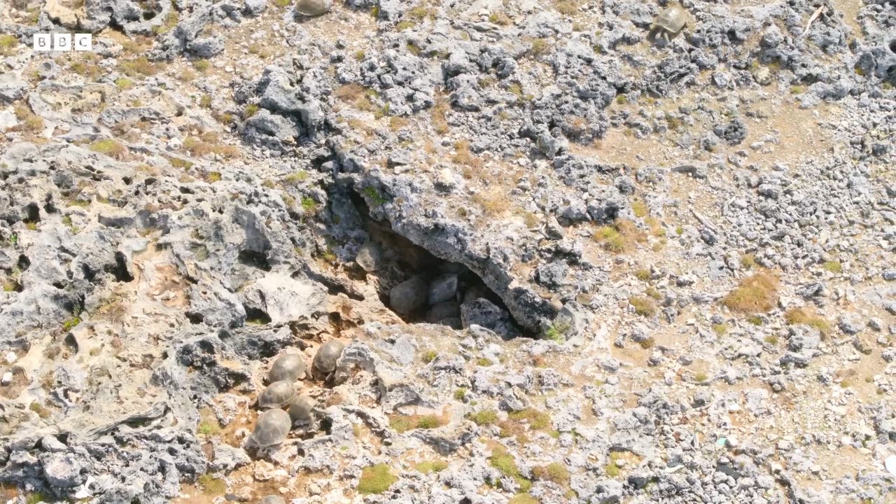 An Adventure Through Africa in 4K | BBC Earth