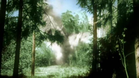 Der Ostfeldzug - Abwehr von Finnland