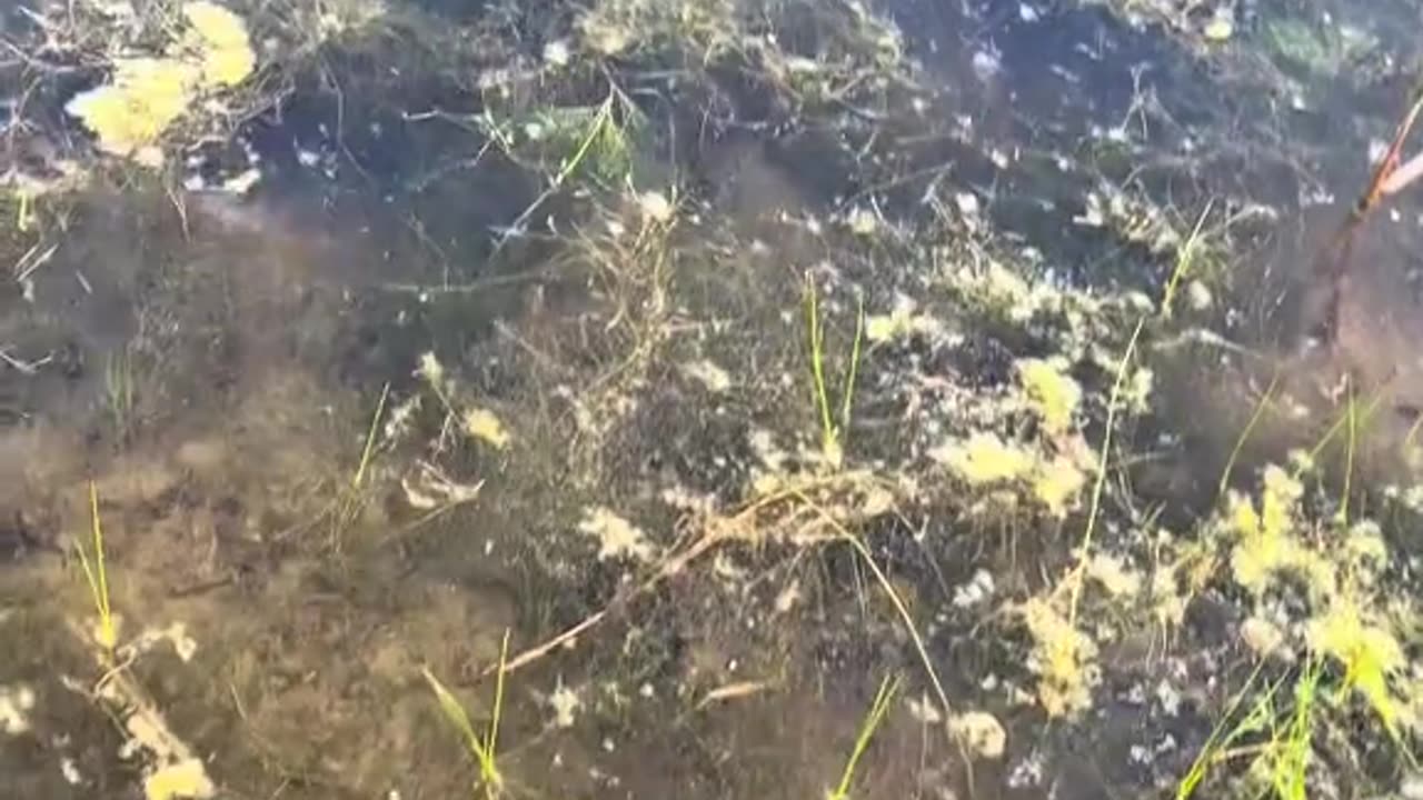 The Bite Was Nonstop!
