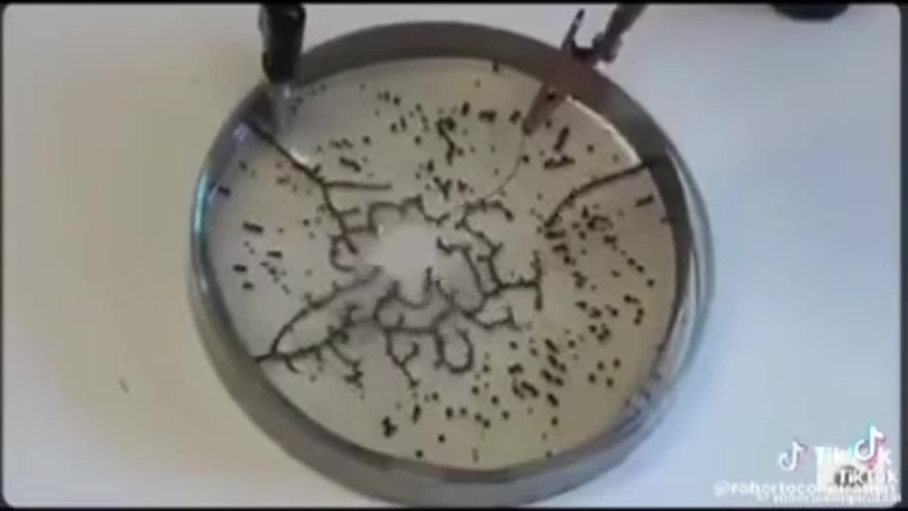 Grafen. 5G Bron Biologiczna