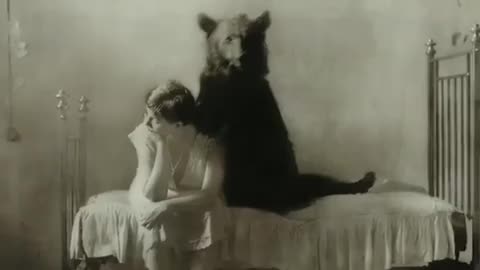 📸🐻 The Ghostly Bear: Real or Hoax? | TheHauntingHour