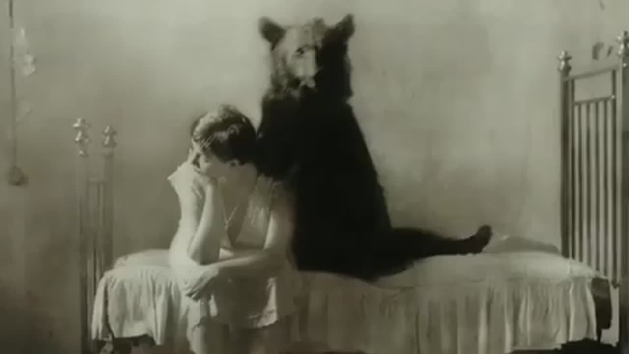 📸🐻 The Ghostly Bear: Real or Hoax? | TheHauntingHour