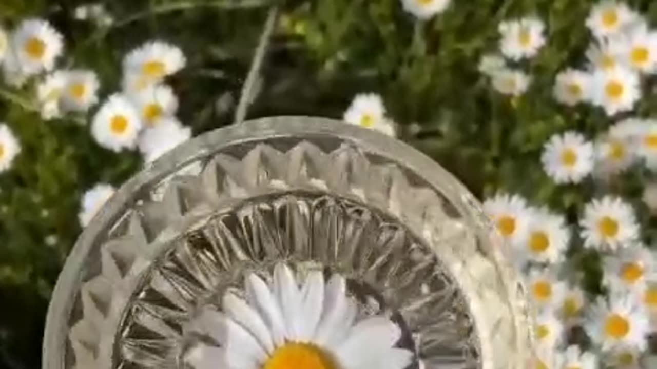 wonderful day