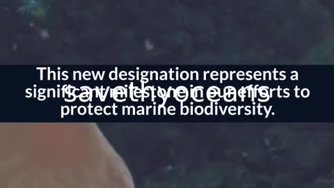 Celebrating Tang. É¢wan Â· á¸¤aÄxÊ·iqak Â· TsigÌ±i Canada's Newest Marine Protected Area