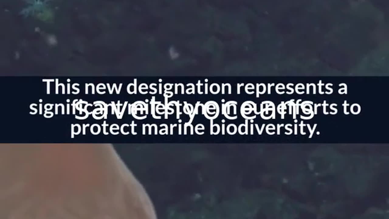 Celebrating Tang. É¢wan Â· á¸¤aÄxÊ·iqak Â· TsigÌ±i Canada's Newest Marine Protected Area