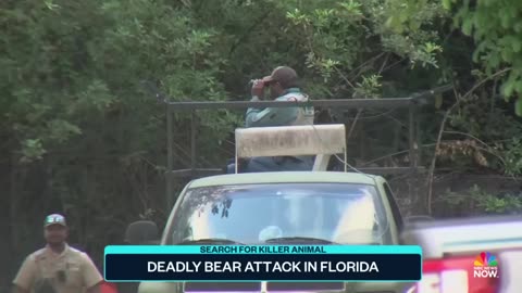 Authorities investigating first deadly bear attack in Florida